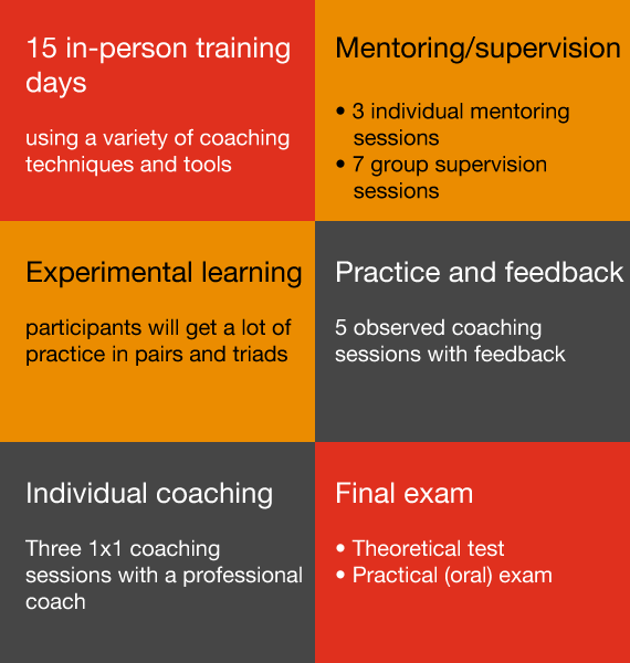 Business coaching diploma - programme benefits
