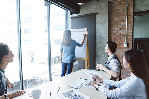 Portfolio of courses